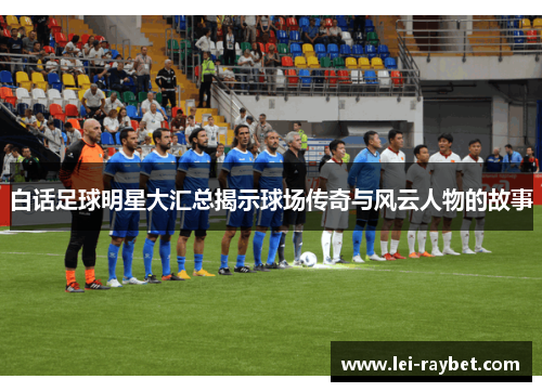 白话足球明星大汇总揭示球场传奇与风云人物的故事