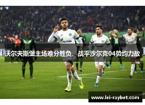 沃尔夫斯堡主场难分胜负，战平沙尔克04势均力敌